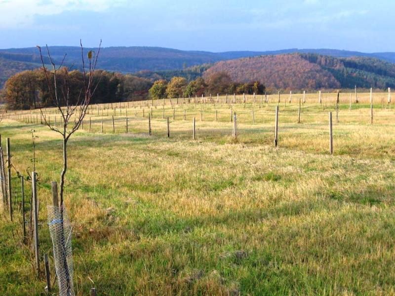 seminar_odbyt_Hostetin_076 (1)